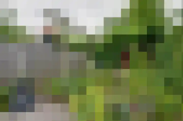 Ruysdaelstraat 14 Assen thumbnail 30