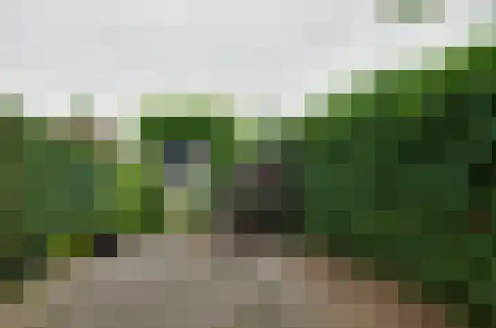 Ruysdaelstraat 14 Assen thumbnail 32