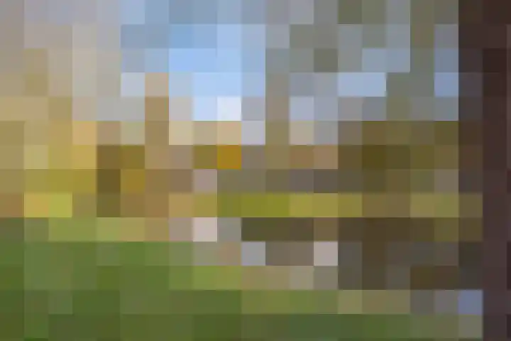 Ruysdaelstraat 150 Heemskerk thumbnail 24