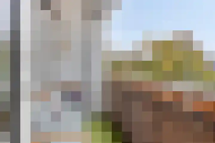 Ruysdaelstraat 150 Heemskerk thumbnail 5