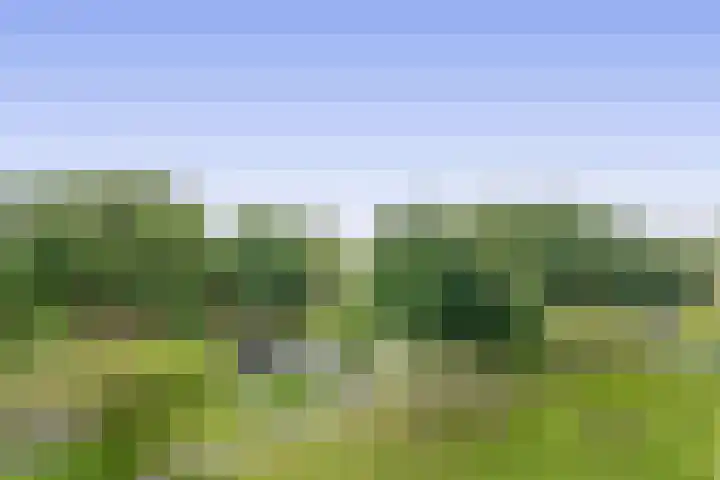 Ruysdaelstraat 153 Rozenburg thumbnail 33
