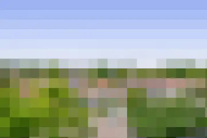 Ruysdaelstraat 153 Rozenburg thumbnail 34