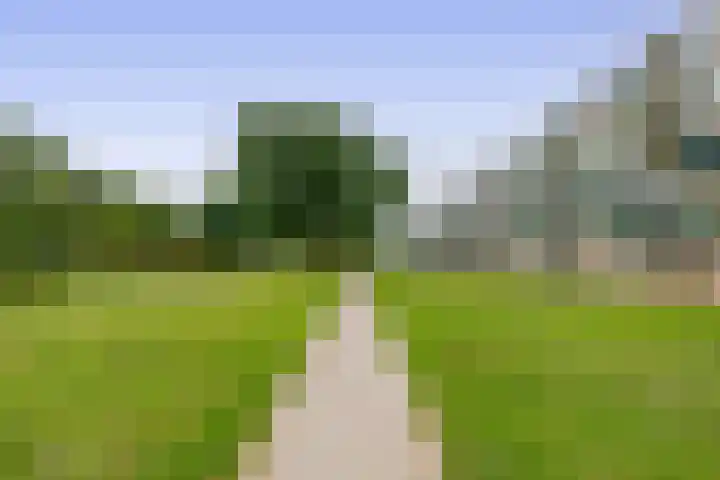 Ruysdaelstraat 153 Rozenburg thumbnail 40