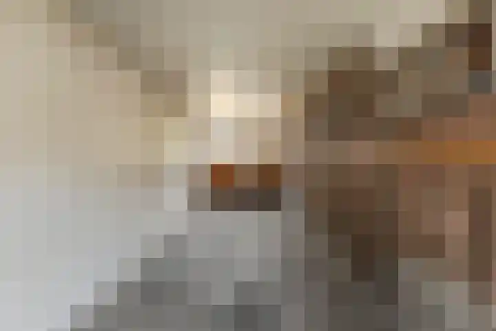 Ruysdaelstraat 18 Rijen thumbnail 17