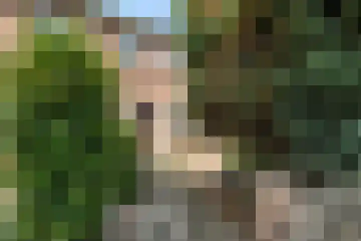 Ruysdaelstraat 18 Rijen thumbnail 5