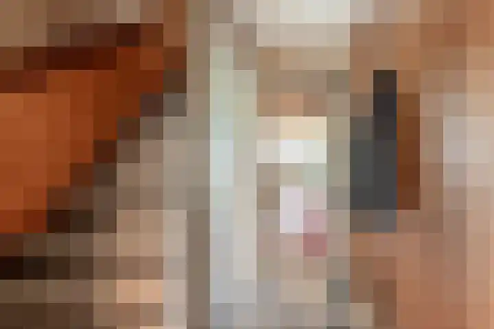 Ruysdaelstraat 18 Rijen thumbnail 6