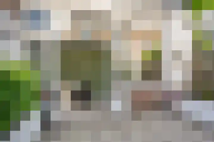 Ruysdaelstraat 18 ZW Haarlem thumbnail 24