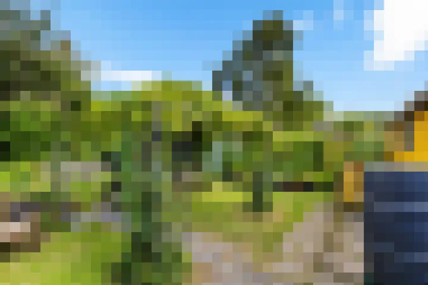Ruysdaelstraat 19 Assen thumbnail 39