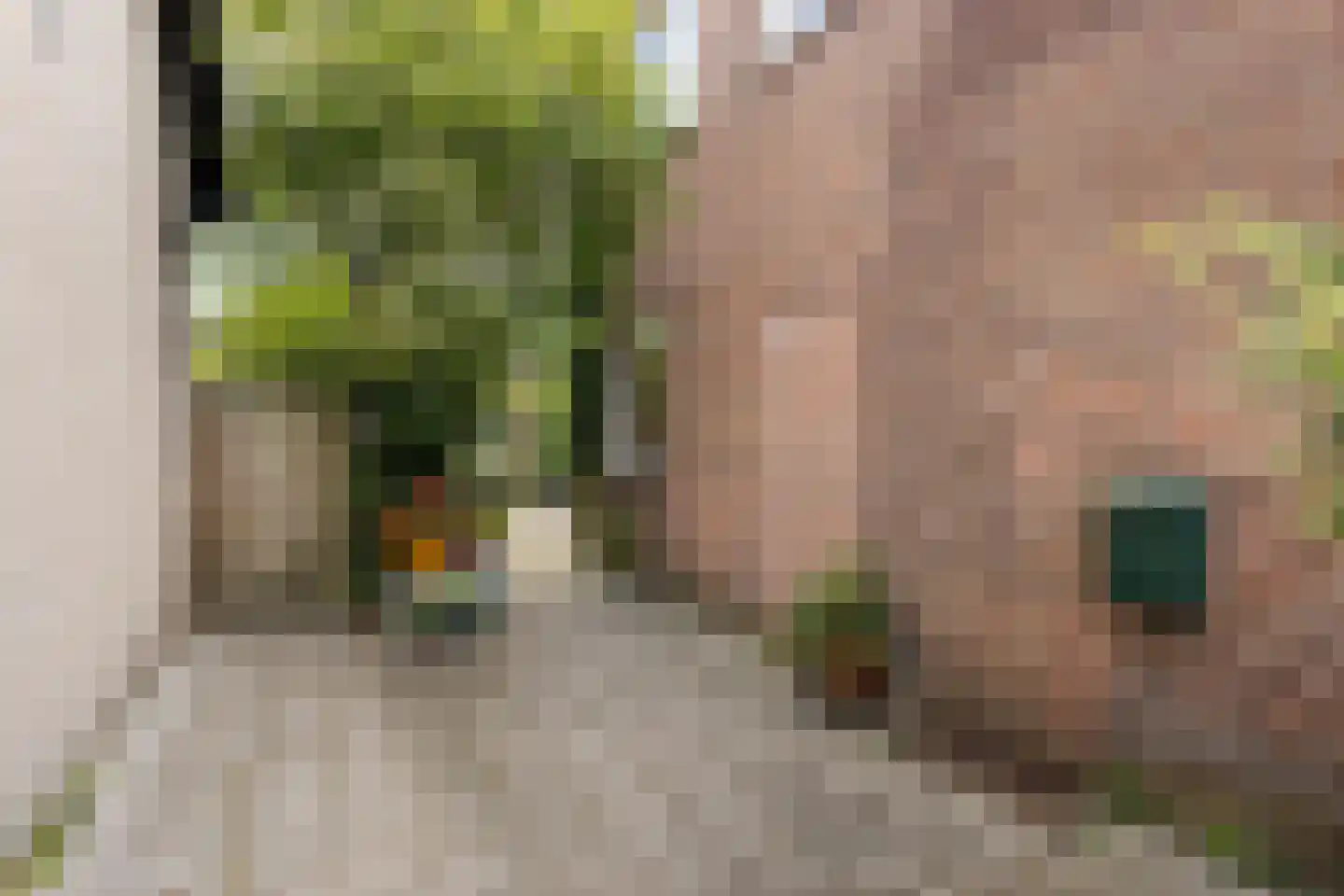 Ruysdaelstraat 19 Assen thumbnail 6
