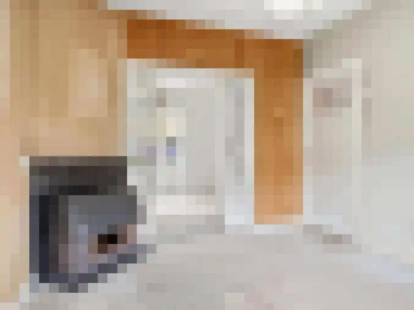 Ruysdaelstraat 28 Zutphen thumbnail 8
