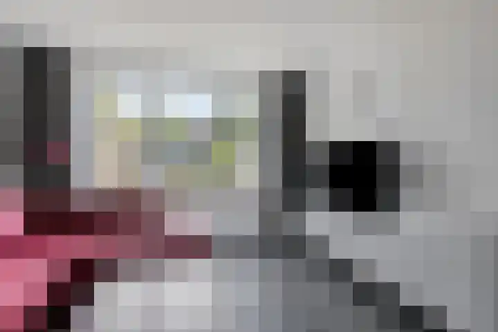 Ruysdaelstraat 33 Dongen thumbnail 11