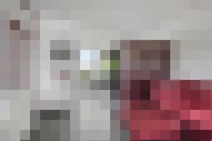 Ruysdaelstraat 33 Dongen thumbnail 12