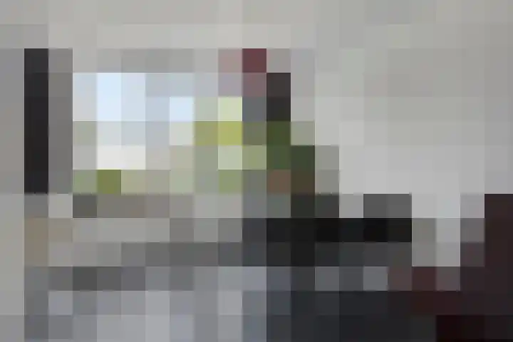 Ruysdaelstraat 33 Dongen thumbnail 13