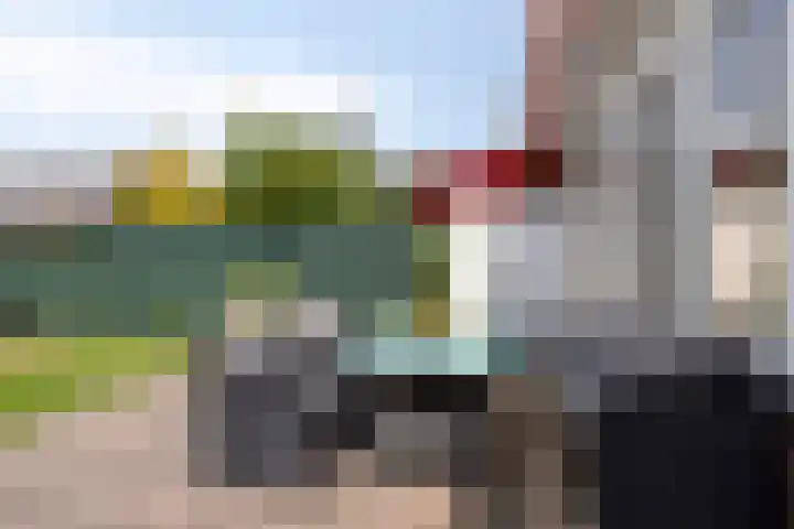 Ruysdaelstraat 33 Dongen thumbnail 27