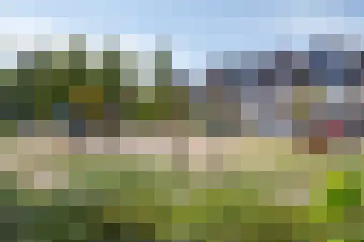 Ruysdaelstraat 33 Dongen thumbnail 32