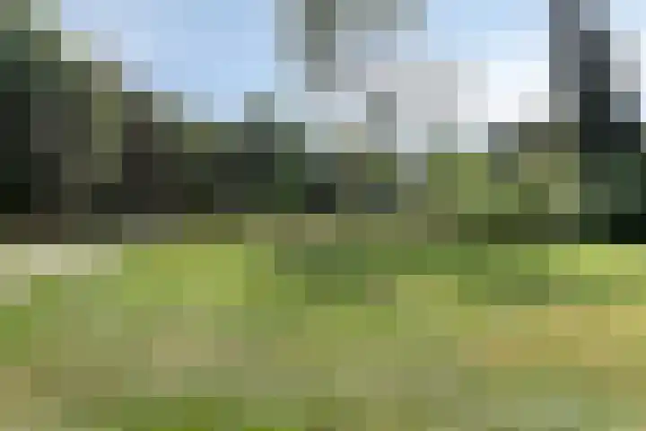 Ruysdaelstraat 33 Dongen thumbnail 33