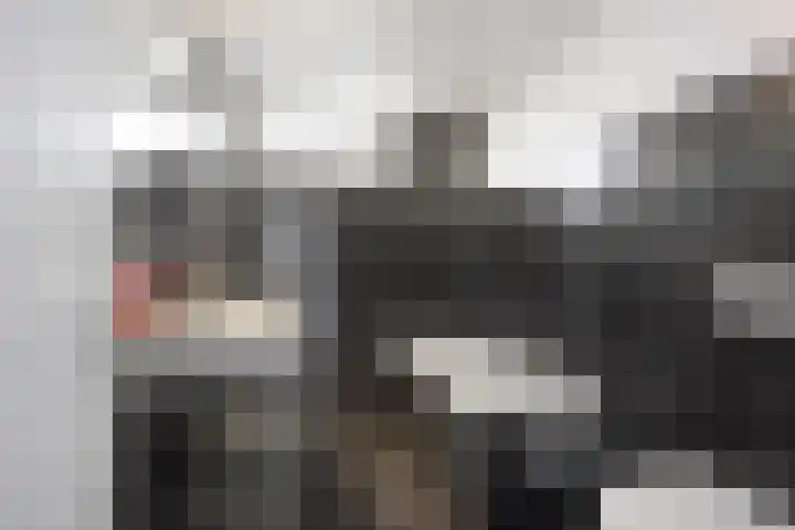 Ruysdaelstraat 33 Dongen thumbnail 5