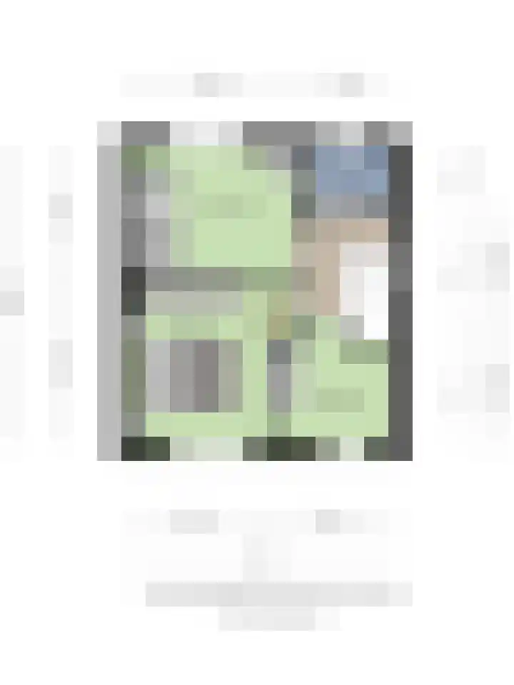 Ruysdaelstraat 35 Deventer thumbnail 24