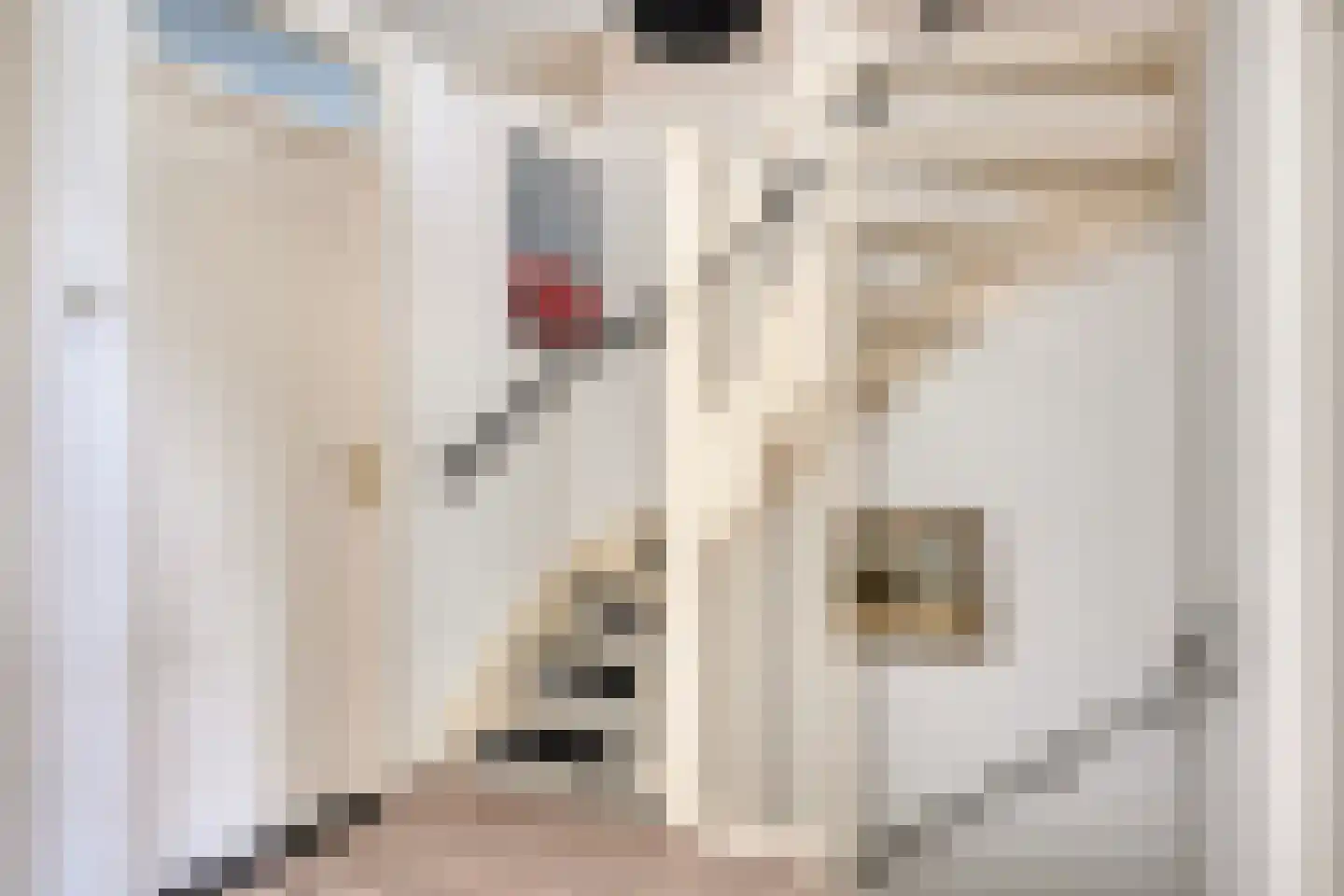 Ruysdaelstraat 37 Dongen thumbnail 17