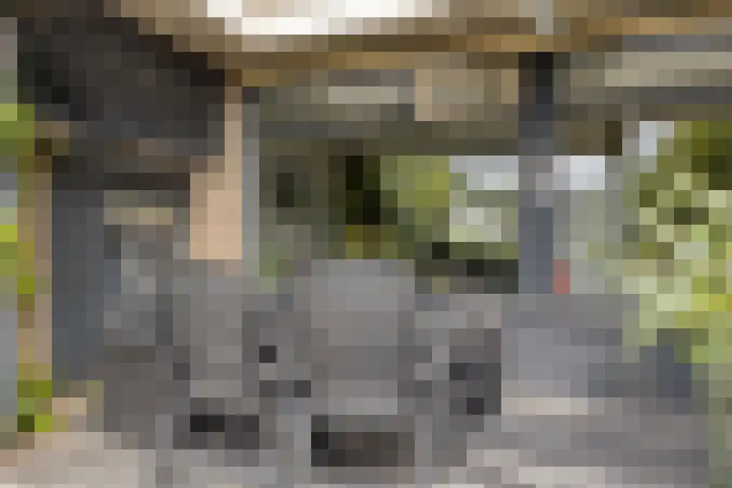 Ruysdaelstraat 37 Dongen thumbnail 28