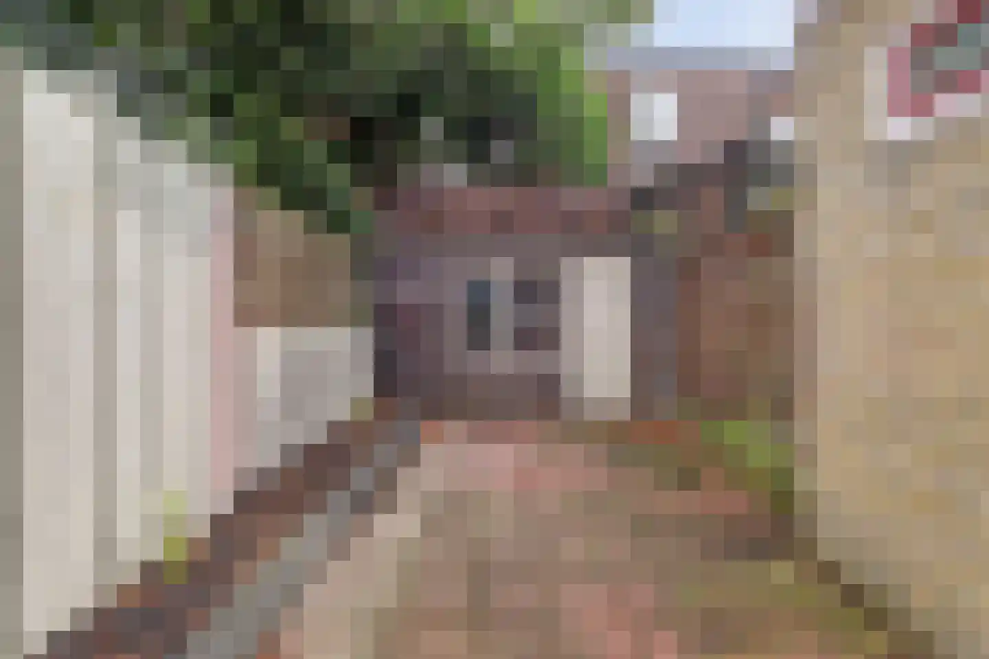 Ruysdaelstraat 38 Zwolle thumbnail 29