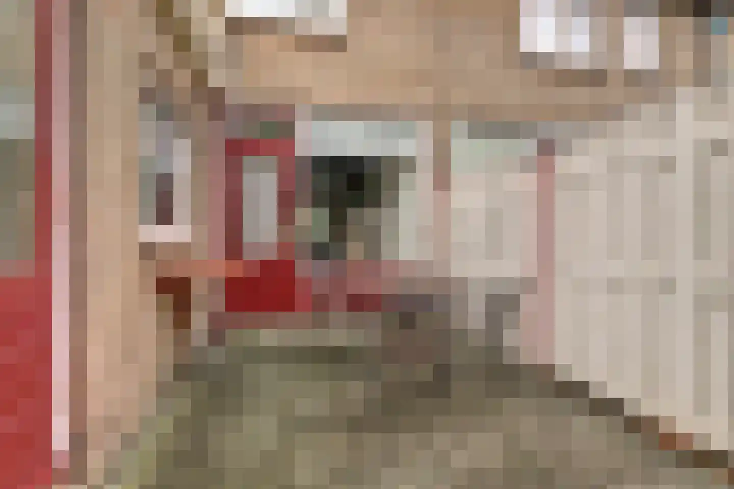 Ruysdaelstraat 38 Zwolle thumbnail 30