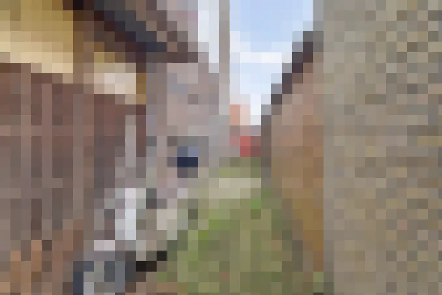 Ruysdaelstraat 38 Zwolle thumbnail 33