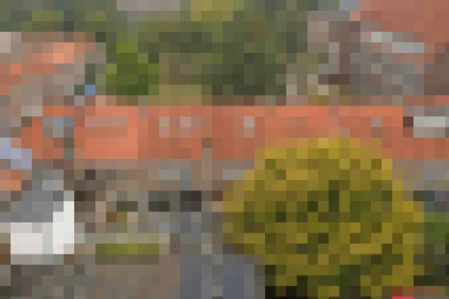 Ruysdaelstraat 38 Zwolle thumbnail 38