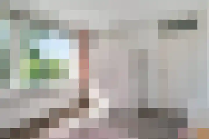 Ruysdaelstraat 39 Heerhugowaard thumbnail 23