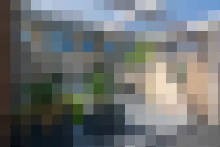 Ruysdaelstraat 39 Heerhugowaard thumbnail 40