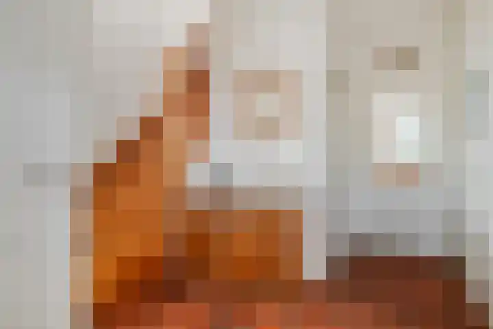Ruysdaelstraat 48 Clinge thumbnail 12
