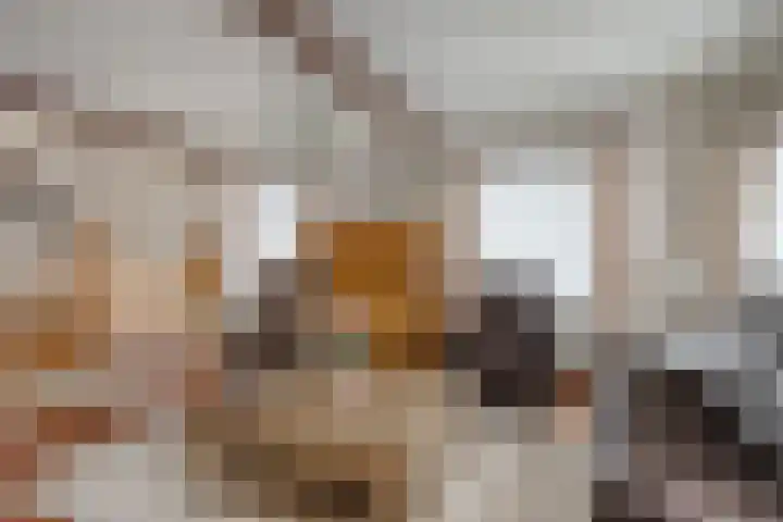 Ruysdaelstraat 48 Clinge thumbnail 15