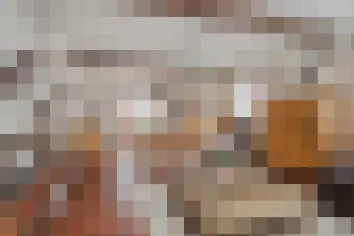 Ruysdaelstraat 48 Clinge thumbnail 16