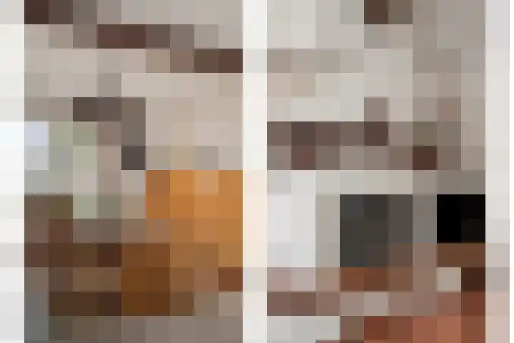 Ruysdaelstraat 48 Clinge thumbnail 17