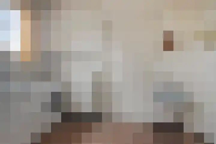 Ruysdaelstraat 48 Clinge thumbnail 25