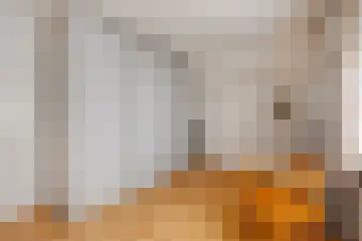 Ruysdaelstraat 48 Clinge thumbnail 28