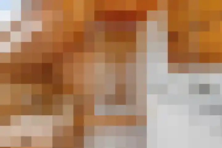 Ruysdaelstraat 48 Clinge thumbnail 29
