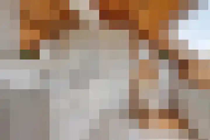 Ruysdaelstraat 48 Clinge thumbnail 30