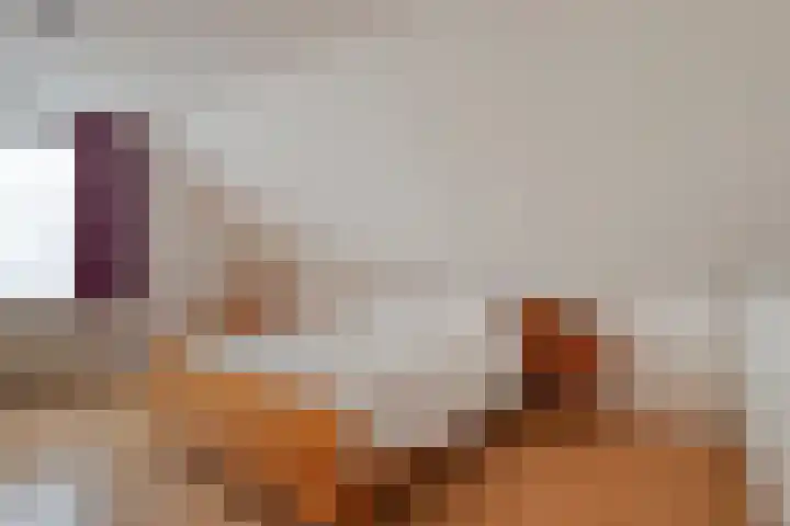 Ruysdaelstraat 48 Clinge thumbnail 32
