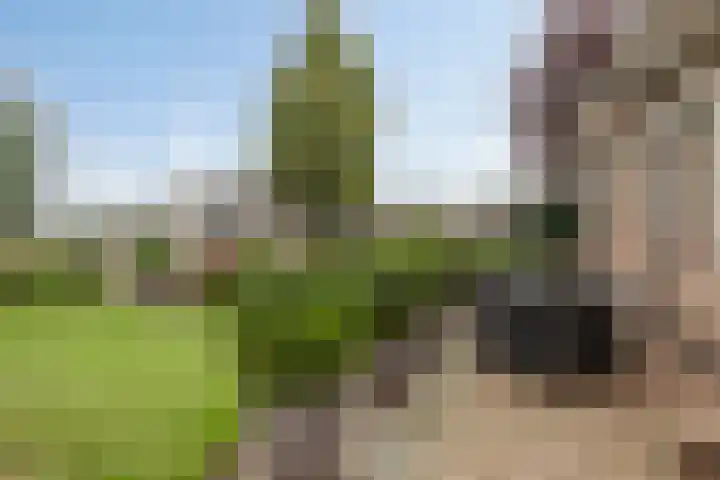 Ruysdaelstraat 48 Clinge thumbnail 40