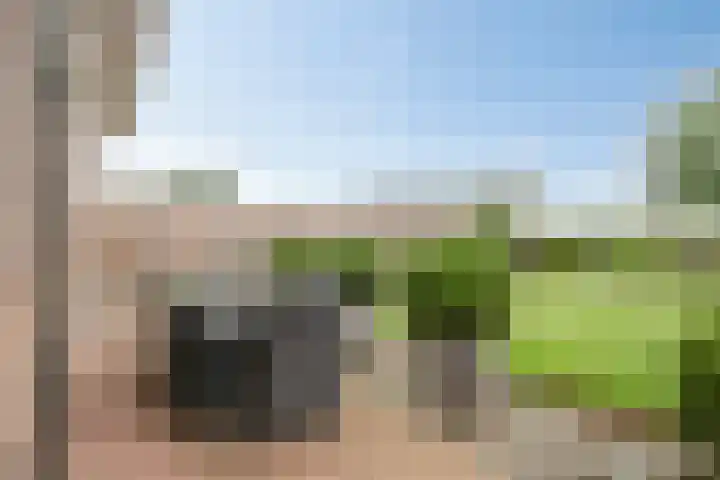 Ruysdaelstraat 48 Clinge thumbnail 41