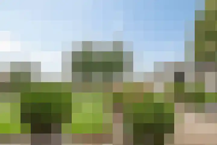 Ruysdaelstraat 48 Clinge thumbnail 42
