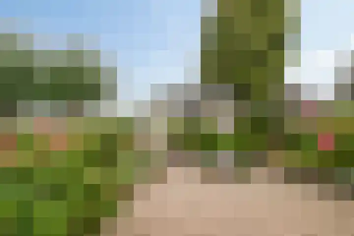 Ruysdaelstraat 48 Clinge thumbnail 43