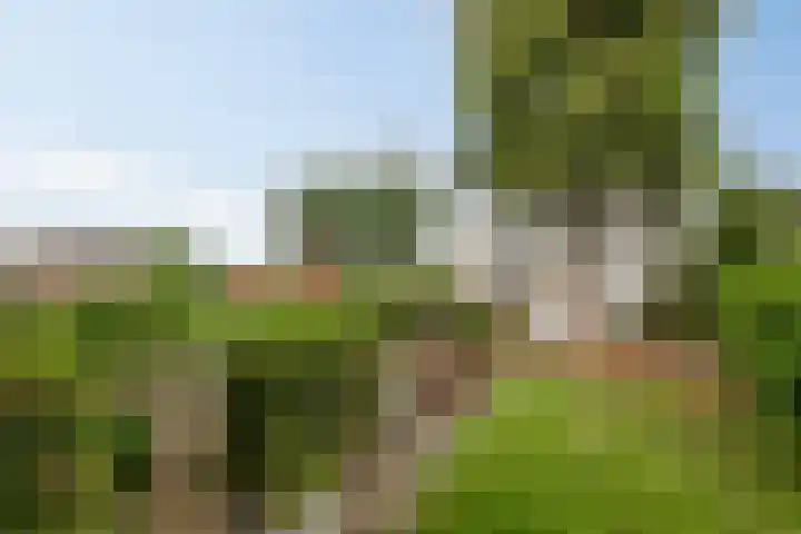 Ruysdaelstraat 48 Clinge thumbnail 44