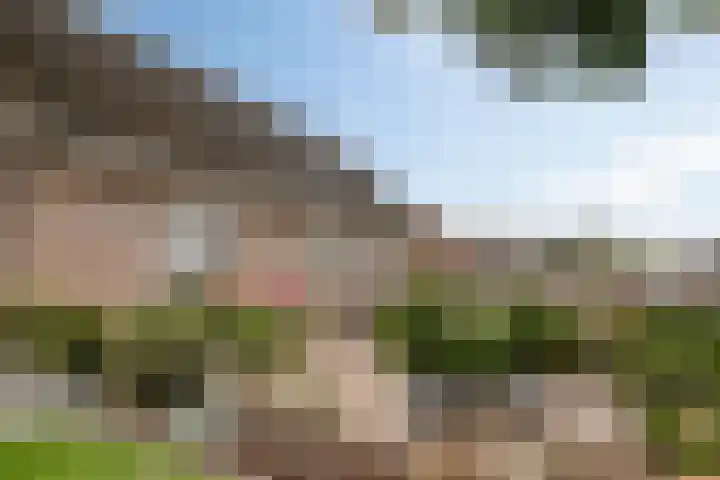 Ruysdaelstraat 48 Clinge thumbnail 45