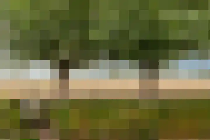 Ruysdaelstraat 48 Clinge thumbnail 49