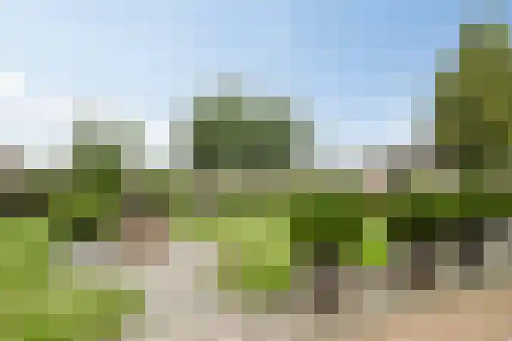 Ruysdaelstraat 48 Clinge thumbnail 5