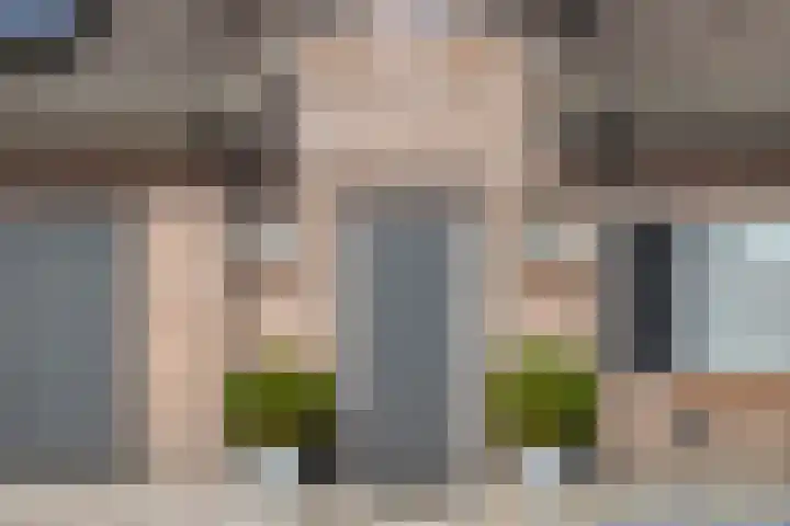 Ruysdaelstraat 48 Clinge thumbnail 9