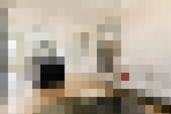 Ruysdaelstraat 49 E 4 Amsterdam thumbnail 7