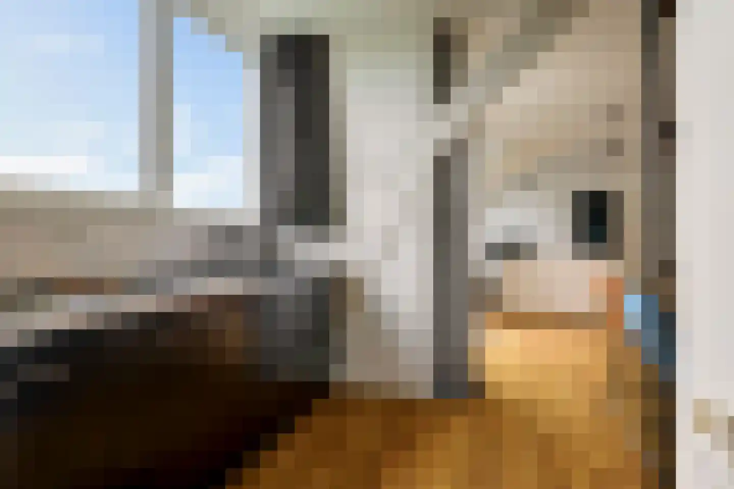 Ruysdaelstraat 49 F 8 Amsterdam thumbnail 16